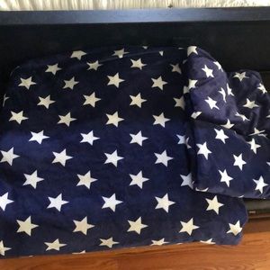 Pottery Barn Kids Duvet and 2 sham set